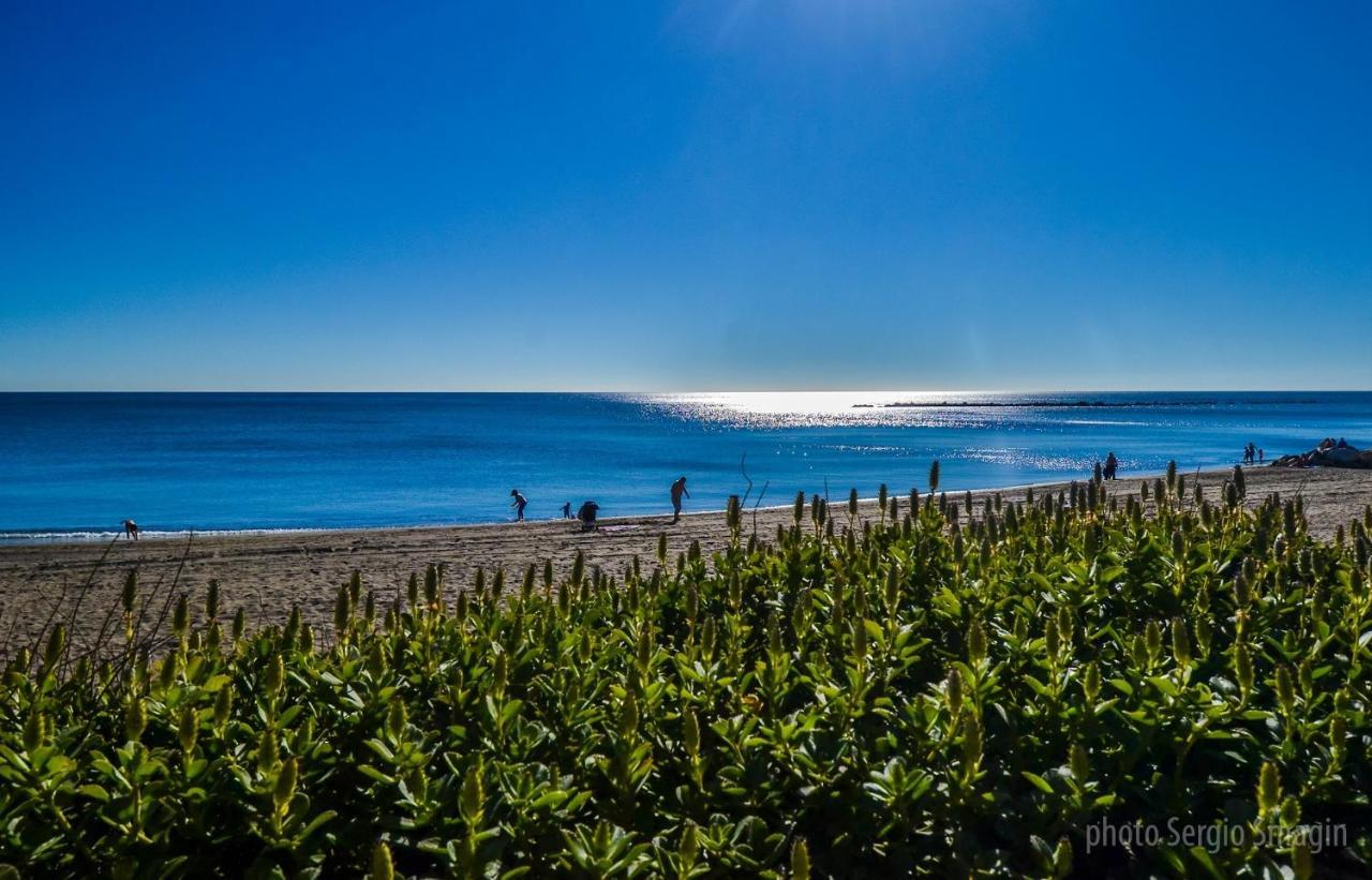 137 Minerva Apartamentos - Vista Al Mar - Piscina Y Playa - Cercano A Tren, Restaurantes Y Tiendas ベナルマデナ エクステリア 写真